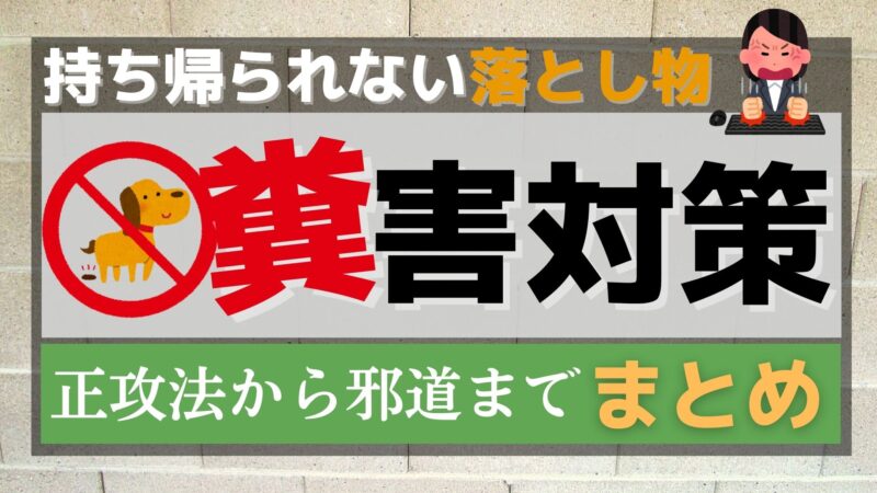 庭や花壇を犬猫の侵入や糞尿被害から守る対策まとめ