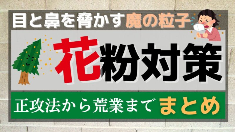 目がかゆくなる【花粉】から身を守る対策グッズと裏技まとめ